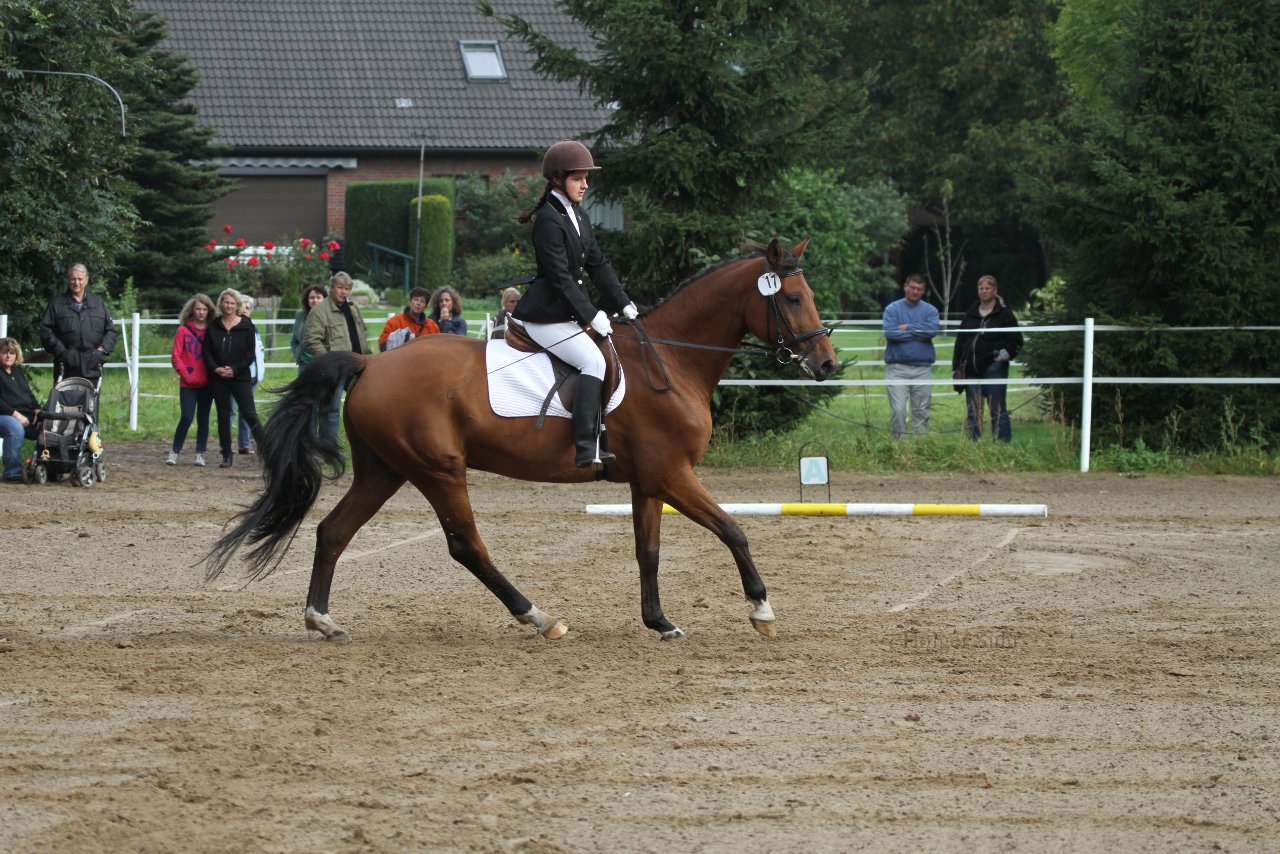 Bild 210 - WBO-Turnier am 18.9.11